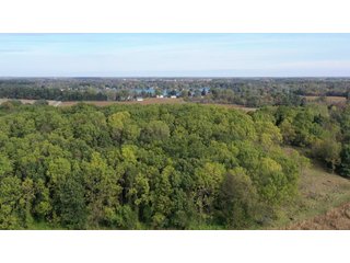 LaGrange County, Indiana farmland - LAND AUCTION - 160+/- ACRES OFFERED IN 9 TRACTS IN LAGRANGE COUNTY, INDIANA